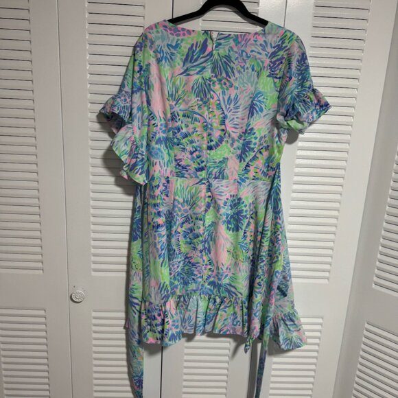 Lilly Pulitzer Darlah Dress - Picture 2 of 2